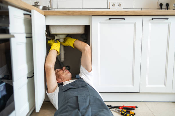 Best Local Plumber Services  in Brent, FL